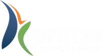 Prime educational consultancy - india