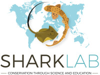 Sharklab adria: center for marine and freshwater biology