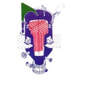 Sharpenn technologies pvt. ltd