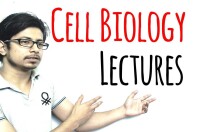 Shomu's biology