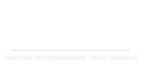 American Veterinary Medical Foundation