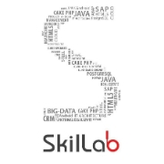 Skill lab services