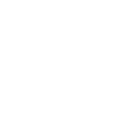 Skyline managed services