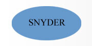 Snyder energo pvt ltd - india