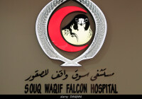 Souq waqif falcon hospital