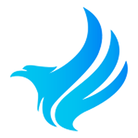 Syneagle infotech pvt ltd