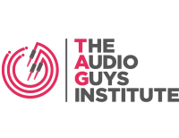 The audio guys(tag)- institute