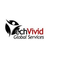 Techvivid global services