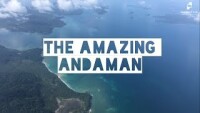 The amazing andaman