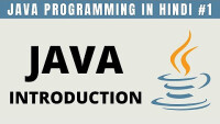 The crazy programmer