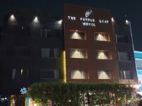 The purple leaf hotel - india