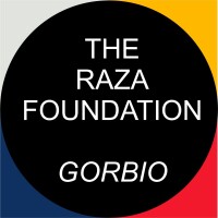 Raza foundation - india