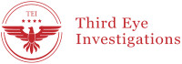 Third eye detective agency - india