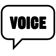 Voie group