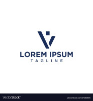 V people consulting