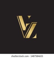 Vz consulting