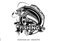 Snapper Networks