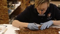 Western Archaeological and Conservation Center