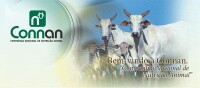 Connan - cia nacional de nutrição animal