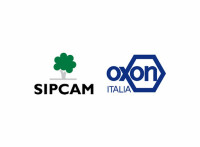 Sipcam nichino brasil s/a