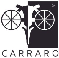 Carraro engenharia e montagens eletromecânicas ltda.