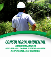 Adapt consultoria
