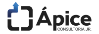 Ápice consultoria jr