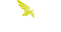 Tradimus brasil