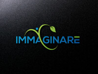 Immaginare