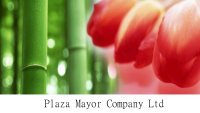 Hotel plaza mayor