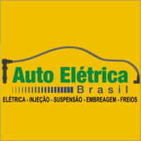 Auto elétrica e baterias brasil