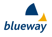 Blueway consultoria