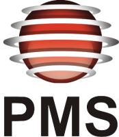 Pms consultoria