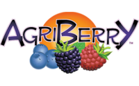 Agriberry Farm and CSA