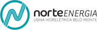 Norte e sul energia ltda