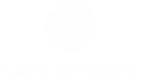 Catena consultoria