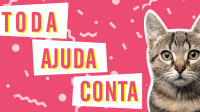 Catland - adoção de gatinhos