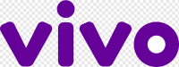 Centro social brasil vivo