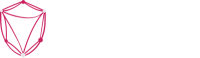 Data science brigade