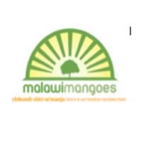 Malawi Mangoes