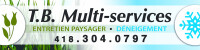 Tb multi services