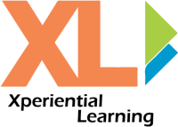 Xl consultoria
