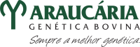 Araucária genética bovina