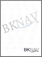 Bknav ind e com ltda