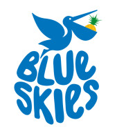 Blue skies holdings ltd