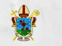 Diocese de uberlândia