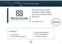 Direct link consultoria
