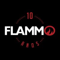 Flammo comunicação online
