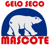 Gelo seco s.a