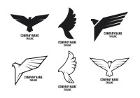 Grupo hawk